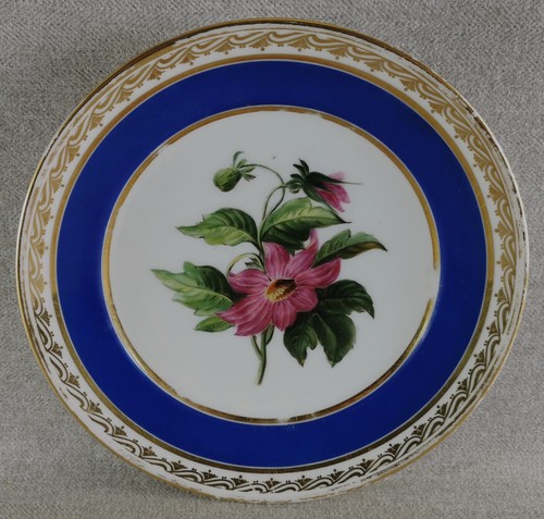 Magnifique assiette botanique - magnifique,