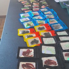 lot revendeur destockage neuf