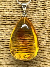 PENDENTIF AMBRE INSECTE cadeau