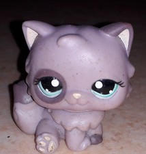Petshop chat persan 1027