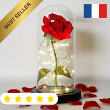Rose Éternelle LED Durable Résistant sous Dôme Cadeau Saint Valentin Noël Mères