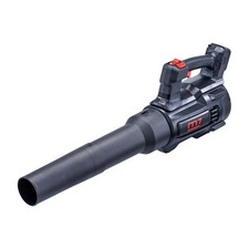 Souffleur électroportatif