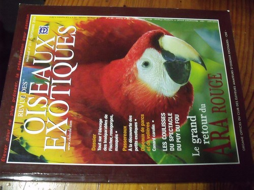 Revue des oiseaux - revue,