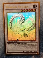 Yu Gi Oh Ghost Barkion Naturia