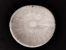 coupe design céramique forme