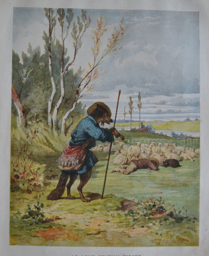 Loup devenu berger - ", le