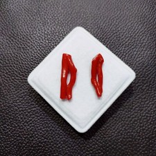 Branche de corail rouge unique