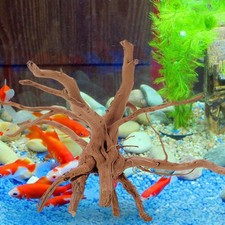 Aquarium en bois flotté, Terrarium, ornement, plante de paysage pour Reptile