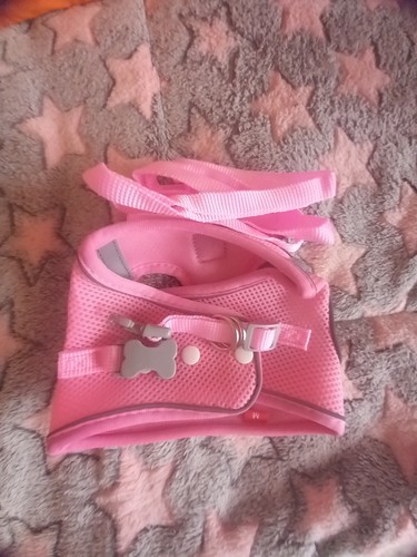 Harnais rose laisse - harnais, taille