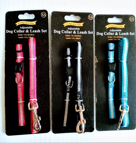 Collier laisse avec bande - avec,