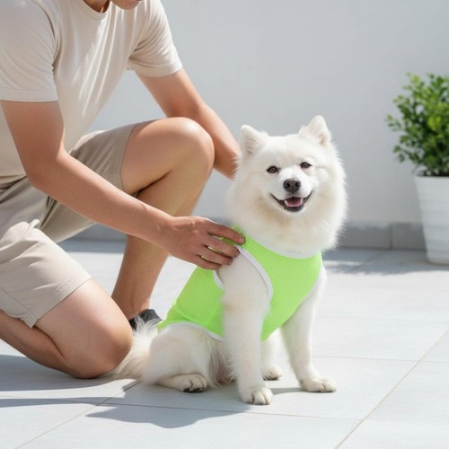 Shirt respirant pour petit - t-shirt,