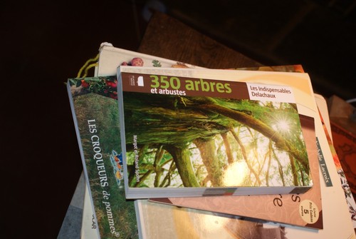 350 arbres arbustes - arbres,