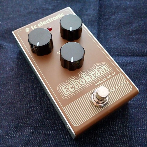 Electronic echobrain analog - electronic,