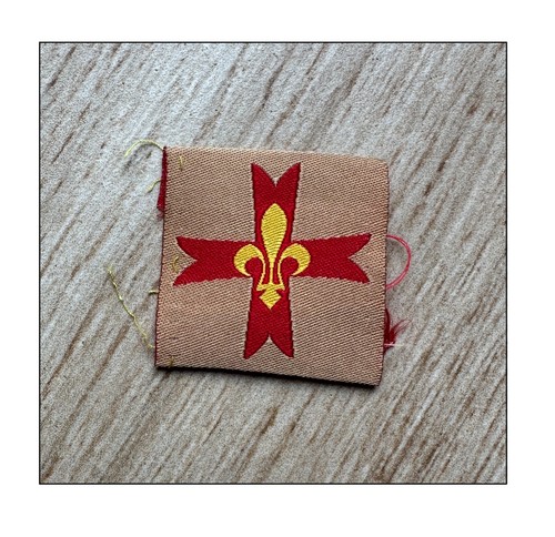 Sdf scout scoutisme insigne - scout,