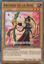 Yu-Gi-Oh! Archère de la Rose : C LDS2-FR105