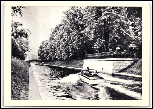 1964 leningrad swan - 1964,