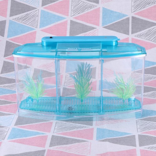 Vivier poisson aquarium pour - vivier, a