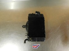 Radiateur gauche Honda 600