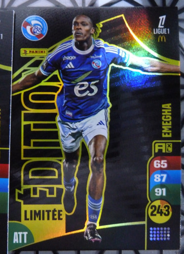 Carte foot panini - foot,