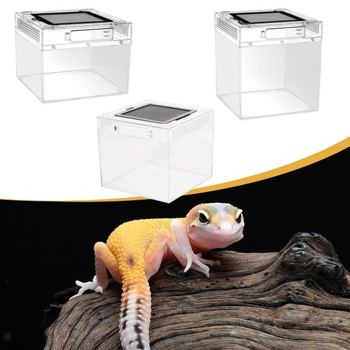 Terrarium pour reptiles