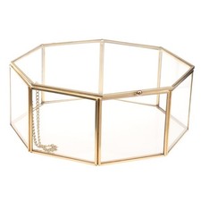 Boîte de terrarium en verre