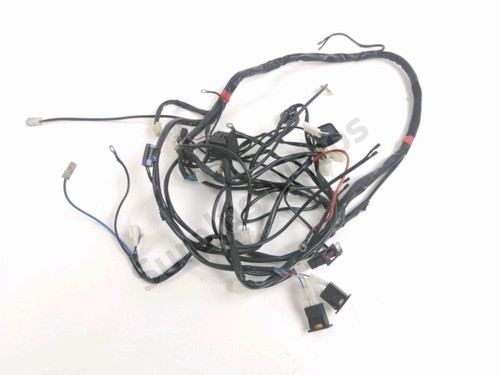 Faisceau electrique rieju - faisceau,