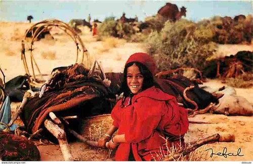 Carte postale algérie - carte,