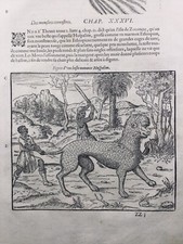 Rare Girafe 1585 Lion Huspalim