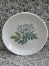 COUPELLE Porcelaine THOMAS Décor PLANTES 10 cm 