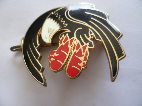 Armee air insigne - armee, de