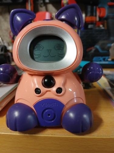 Kidi miniz chat - chat, rose