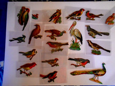 19 découpis anciens oiseaux