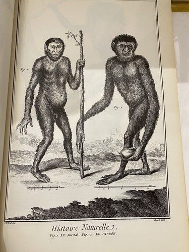 Encyclopédie diderot - de,