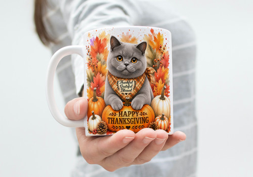 British shorthair thanksgiving - british,