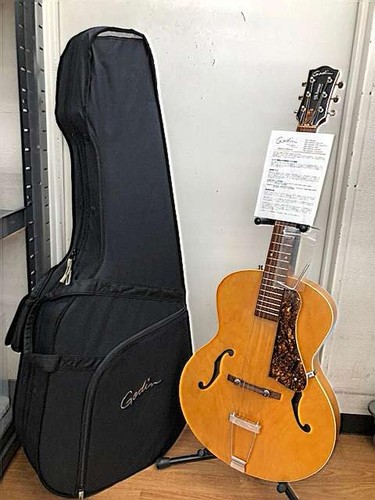 Godin acoustic 5th avenue - godin,