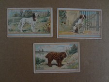 3 chromos du Planteur de