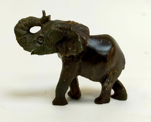 Africain éléphant main - Éléphant,