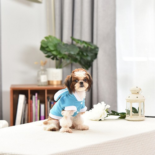Vêtements pour chien - vêtements,