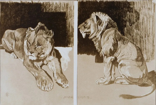 Mathurin meheut le lion - :,