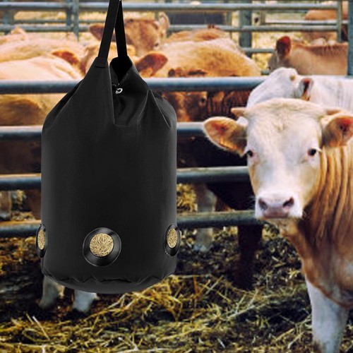 Foin pour chevaux - à,