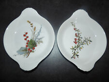 Apilco- 2 plats- porcelaine à feu