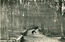 La Tour de MONTLHERY Le Parc