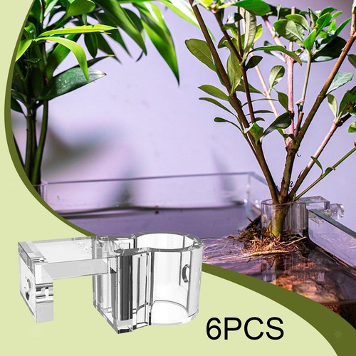 Lot supports pour plantes - 6,