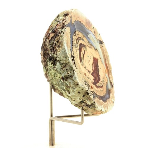 Collection abijoux lithophyse - collection,