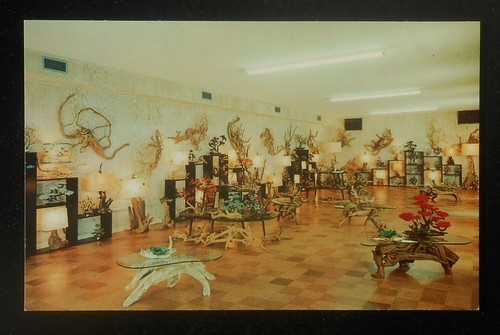 1950s interior driftwood - 1950s,