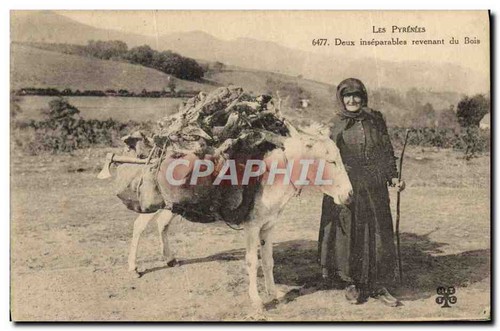 Les pyrénées deux - les, —