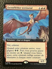 Mtg DRC Aetherdrift— Escouflether Territorial Aetherkite — NM Extended FR
