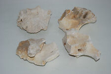 Aquarium Naturel Corail Cichlidés Rock 4 Pièces Pour Tout Aquariums MB1E