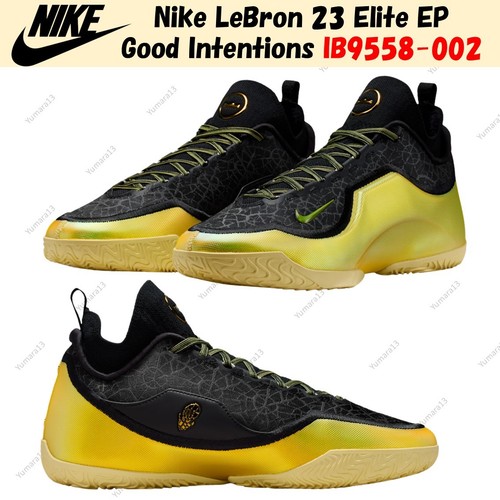 Nike lebron elite - 23, good