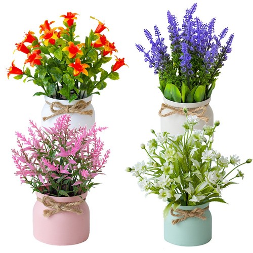Pour mini plantes fleurs - plantes, à